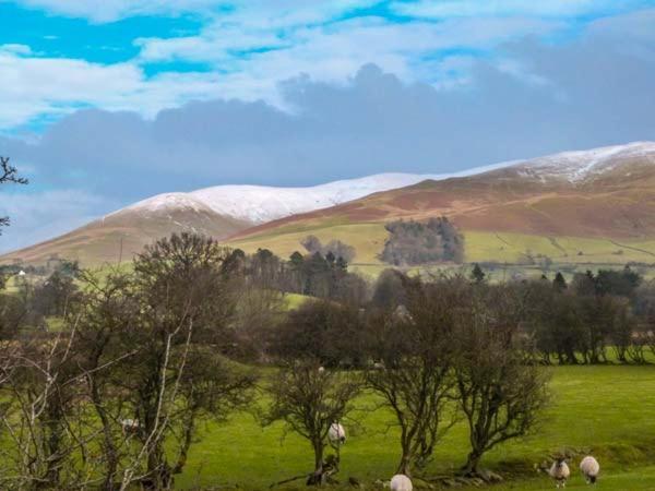 Fells Cottage Sedbergh Dış mekan fotoğraf